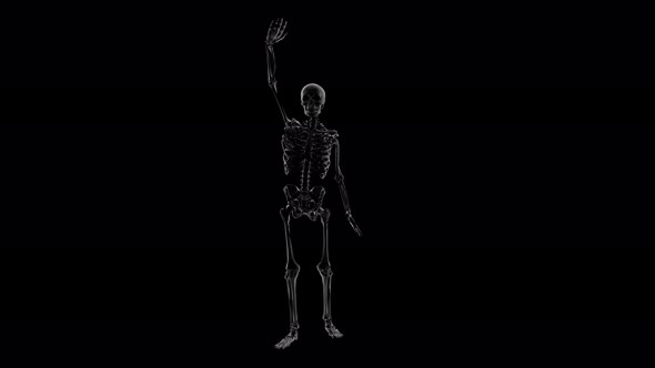 Skeleton Hand Raising
