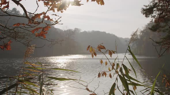 Beautiful View over a Lake in Autumn alt