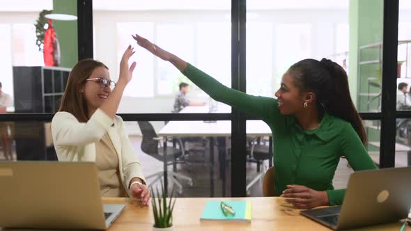Cheerful Female Coworkers Giving High Five to Each Other Sitting in the Modern Office