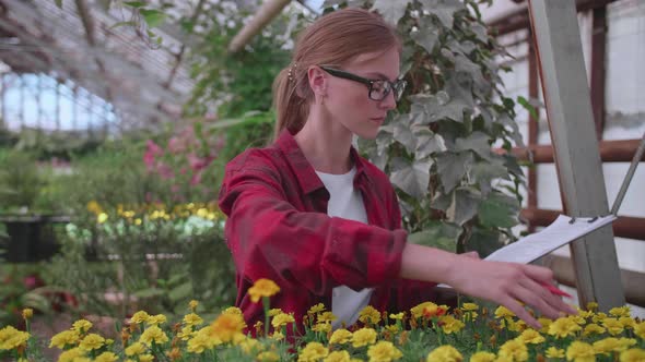 Agronomist Girl in Glasses and Checkered Red Shirt Checks the Quality and Quantity of Plants in the