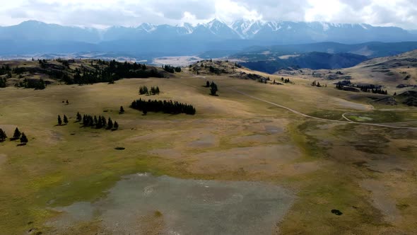 steppe with white mountains in Altai