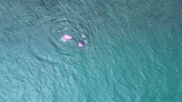 A lone scuba diver descends deep underwater viewed from high above the ocean. Unique drone view alt