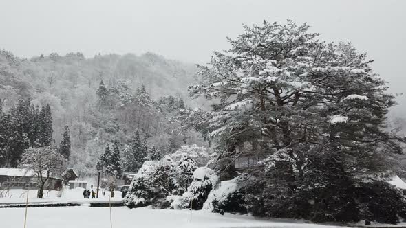 Snow Falling At Home Village alt