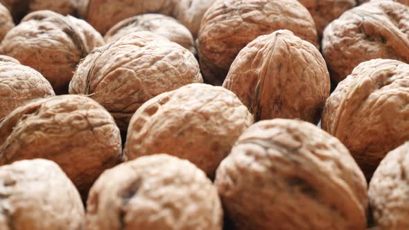 Hard shell walnut arranged and ready to being processed slow paning  4K 2160p 30fps UltraHD video -  alt