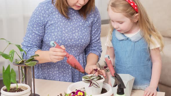 a Mother and Daughter Transplant Sprouted Houseplants to Pots alt