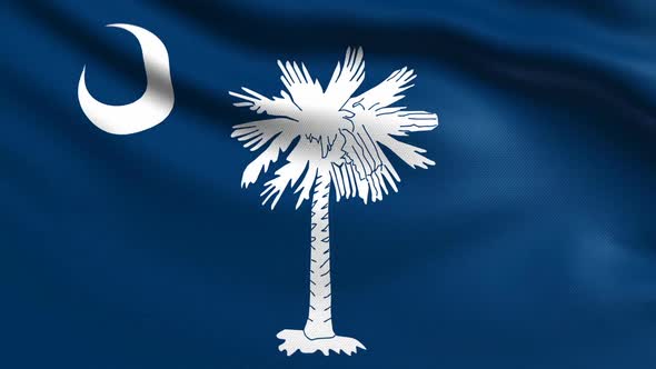 South Carolina Flag alt