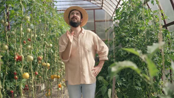Expert Male Farmer Juggling Tomato Looking at Camera Standing in Sunny Greenhouse alt