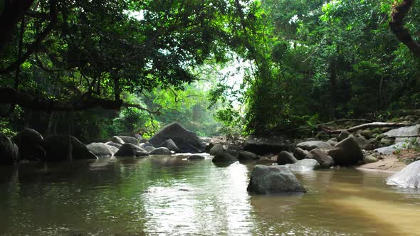Drone flying slowly forward over a calm river in the middle Samui jungle alt