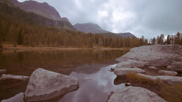 Beautiful Autumn Yellow colors in the Middle alt