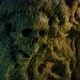 Human Skull In Slimy Cave Wall - VideoHive Item for Sale