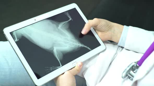 Doctor Writes A Recipe 26 46 alt