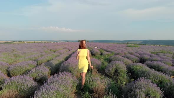 Beautifull Girl In Lavender Field