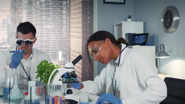 In Modern Research Laboratory Black Female Scientist Looking at Organic Material Under Microscope alt