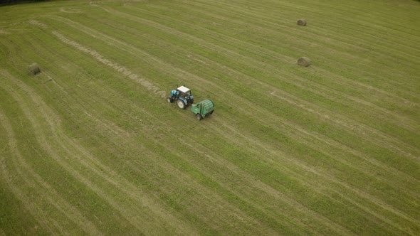 Aerial Top View of Tractor Rides on Field After Harvesting and Makes Haystacks