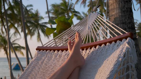 Enjoyable Vacation in Tropics alt