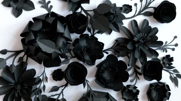 Black paper flowers on a white background are spinning in a circle