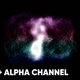 FLUID + ALPHA CHANNEL - VideoHive Item for Sale