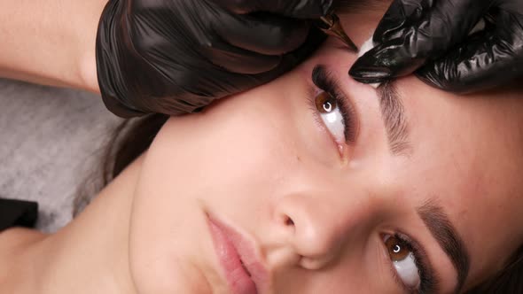 Eyebrow Permanent Makeup alt