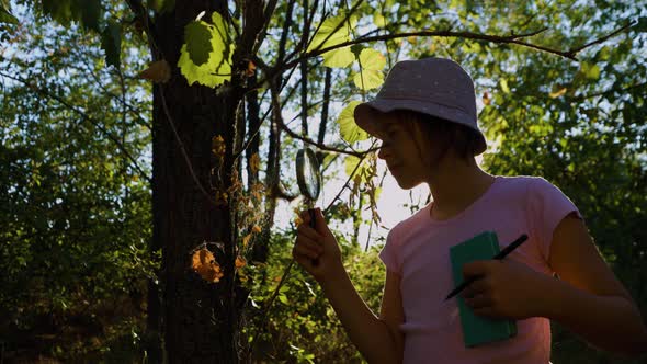 Handsome Amazed Kid Girl Naturalist Scientist Explores Plant Life Insect Life with Magnifying Glass alt
