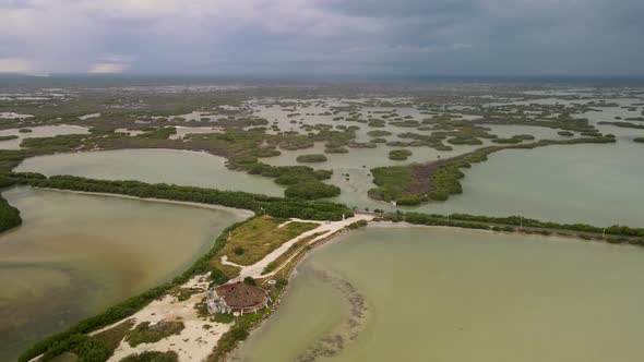 View of Mangrove near Merida in Mexico alt