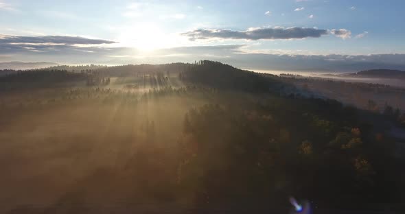 Aerial Over Forest In Fog On Sunset
