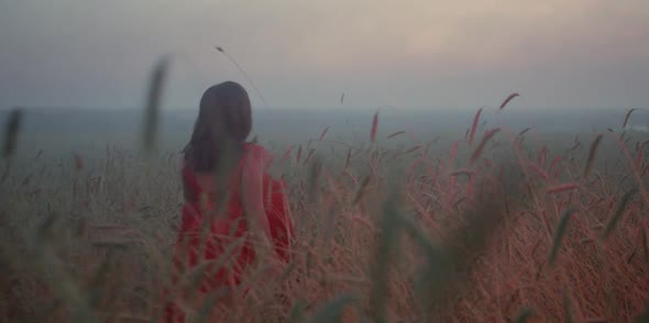 A Girl in a Red Dress is Walking Through a Field at Dawn