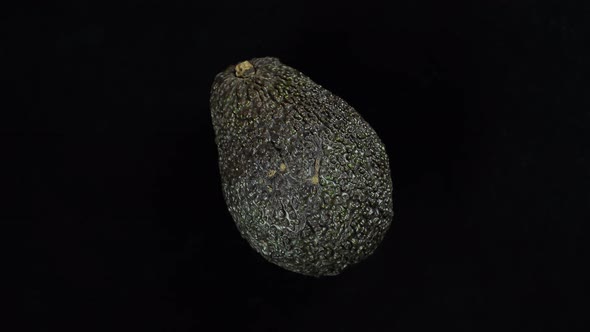 Avocado Haas Exotic Pear Shaped Fruit On Black Background.