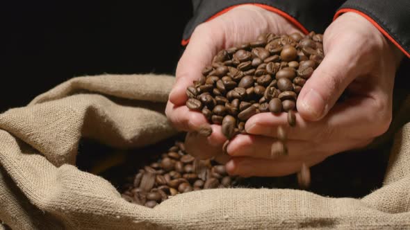 Human takes a heap of roasted coffee beans by both hands from a sac