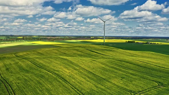 Rape fields and wind turbine. Agriculture in Poland. alt