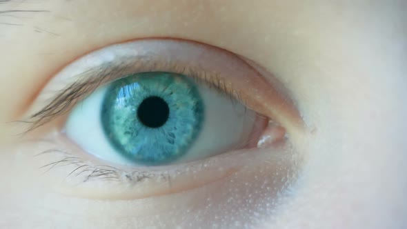 Close-up Macro Shot of Female Human Blue Green Eye alt