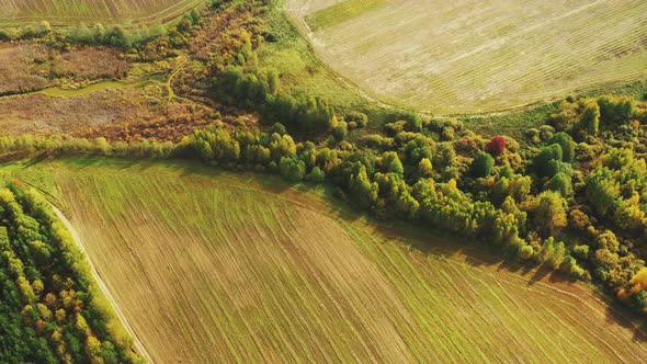 Aerial View Autumn Empty Field With Windbreaks Landscape alt