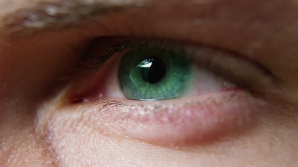 Close-up of man eye alt