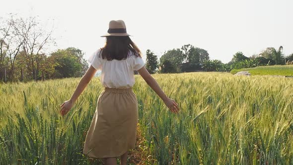 Woman walking through barley field and touching wheat in a sunset light. Slow motion.