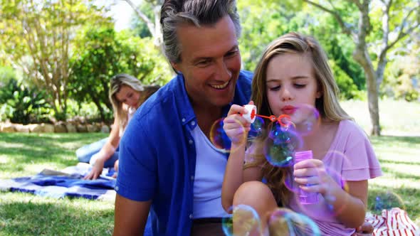 Father and daughter blowing bubble with bubble wand at picnic in park 4k alt