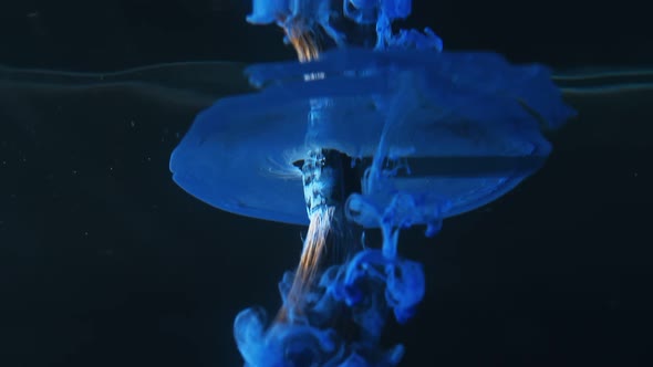 Paint Brush Is Place Water alt