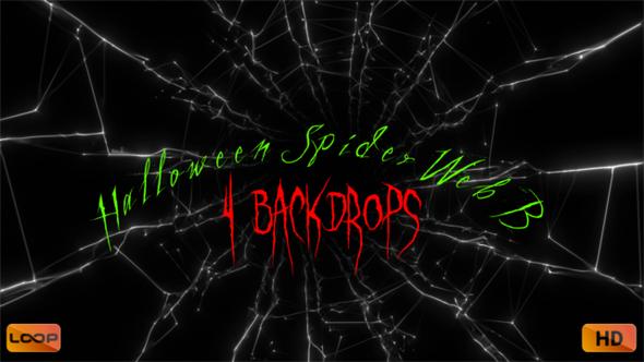 Halloween Spider Web B Hd