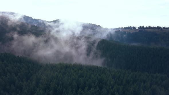 Expansive Aerial Drone Shot of the Tree Lined Romanian Mountains Covered in Moving Valley Fog. alt
