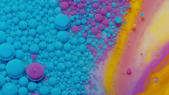 Bright Neon Colorful Bubbles Oil and Ink Acrylic Paint Moving Closeup Wallpaper Background alt