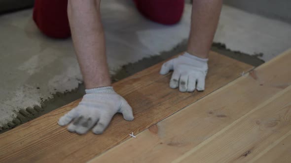 Repair and Decoration. the Tiler Puts the Porcelain Tiles on the Floor in the Apartment