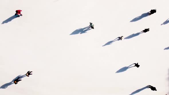 Many People are Skating on White Outdoor Ice Rink in City on Sunny Winter Day alt