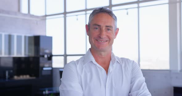 Hansome mature Caucasian male executive standing in modern office 4k alt