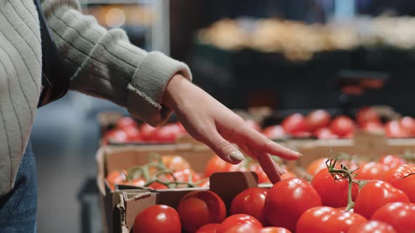 Closeup Female Hand Shopper Girl Choose Red Ripe Healthy Tomatoes in Store Near Counter alt