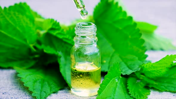 Nettle Extract in a Small Bottle alt