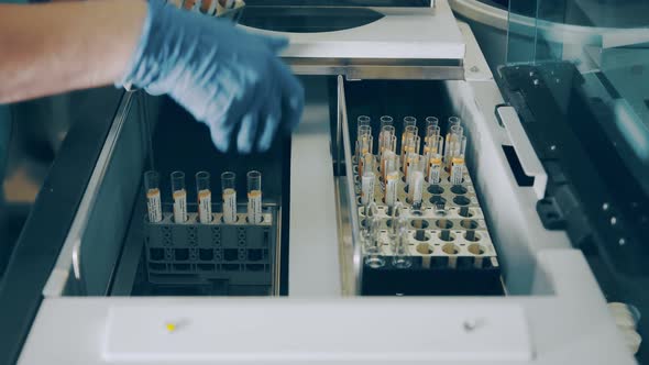 A Laboratory Worker Installs Blood Test Tubes in a Biochemical and Blood Test Apparatus. Blood Test alt