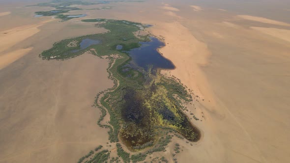 Desert Watering Hole or Oasis in Steppe in Kalmykia Russia