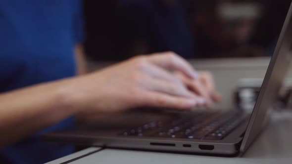 Closeup of Womans Hands Typing on a Laptop While Going By Train in the Evening alt