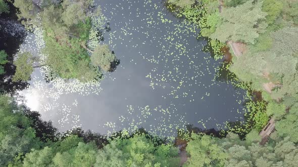 4k Aerial view of a beautiful forest pond, bird's eye pull back alt