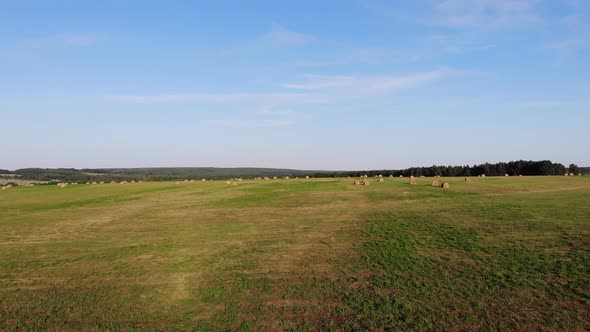 2 Field With Hay Rolls