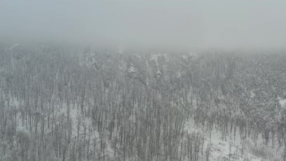 Trees on top of the Veliki Krs mountain by winter 4K aerial footage