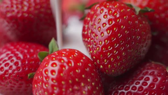 Pouring Yogurt Into Strawberries in Slow Motion. alt